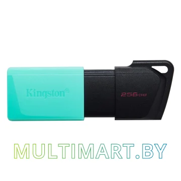 USB Flash Kingston DataTraveler Exodia M 256GB картинка 2
